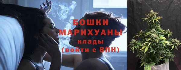 mix Лабытнанги