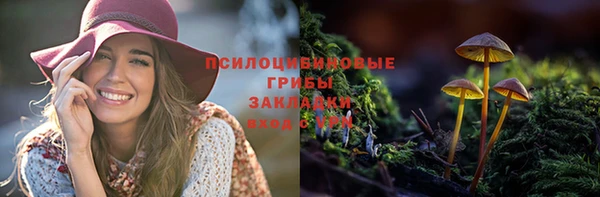 ГАЛЛЮЦИНОГЕННЫЕ ГРИБЫ Лихославль