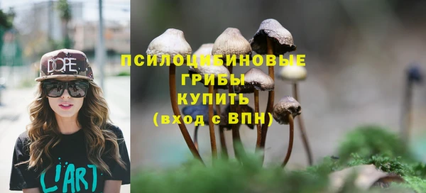 гидра Ладушкин