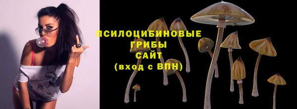 2c-b Лиски