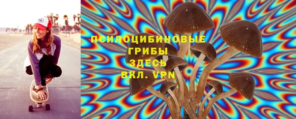 apvp Липки