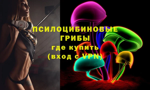 mix Лабытнанги