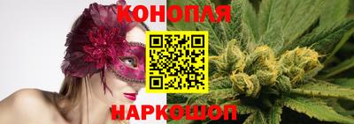 спиды Гагарин