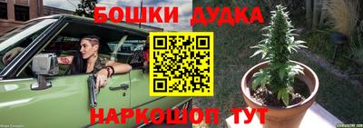 apvp Гатчина
