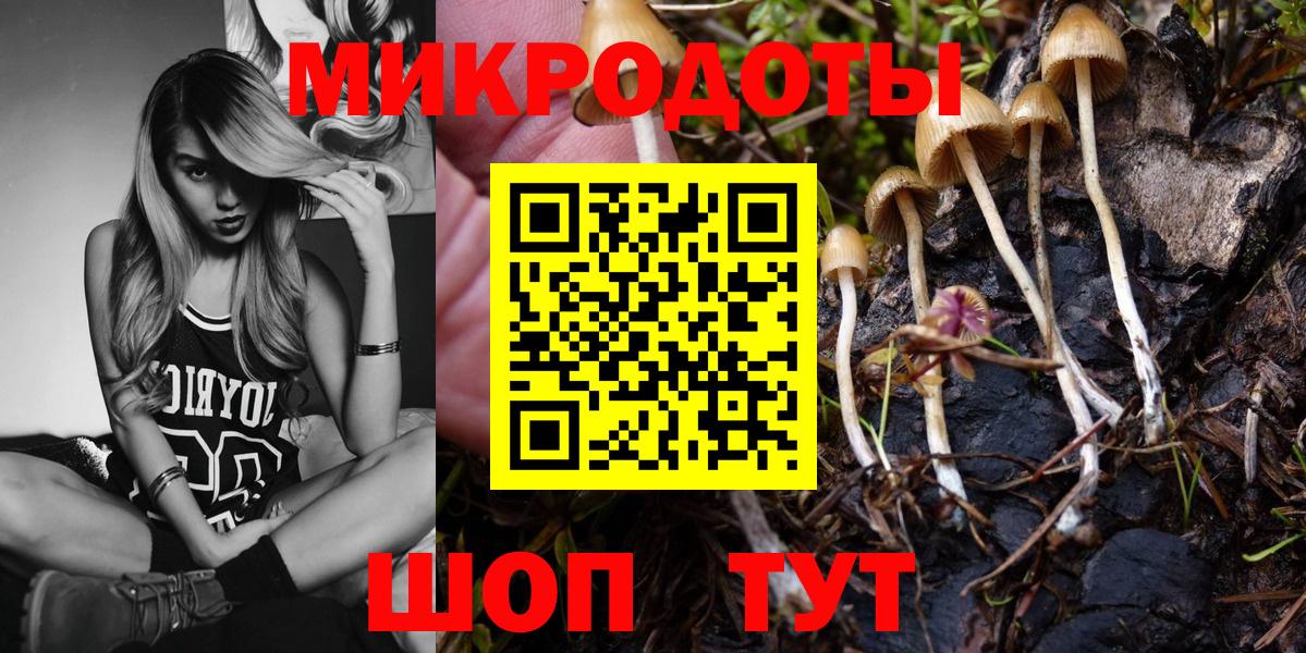 Псилоцибиновые грибы мицелий Казань