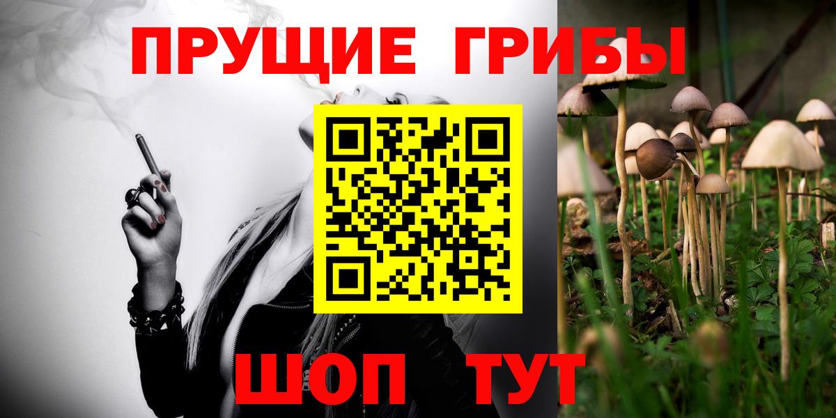 магазин продажи наркотиков  Вход с VPN  Казань  Галлюциногенные грибы Magic Shrooms 